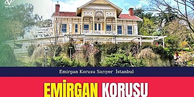Emirgan Korusu / Sarıyer - İstanbul