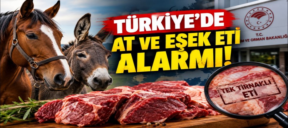 Türkiye’de At ve Eşek Eti Alarmı! Hangi İller Öne Çıkıyor?