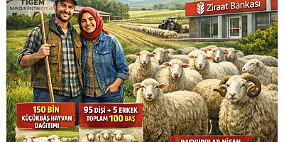Kırsalda Bereket: 100 küçükbaş Destek