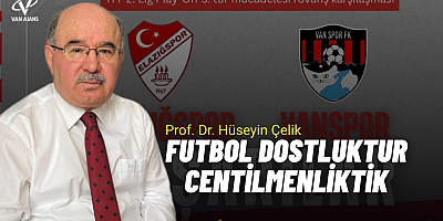 Prof. Dr. Hüseyin Çelik’ten Vanspor-Elazığspor Rövanşı Öncesi Sağduyu Çağrısı