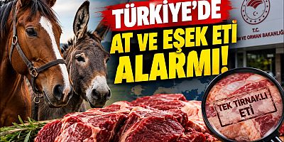 Türkiye’de At ve Eşek Eti Alarmı! Hangi İller Öne Çıkıyor?