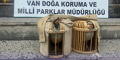 Van’da Kafes Avcılığına Geçit Yok: 1 Kişiye 40 Bin TL Ceza